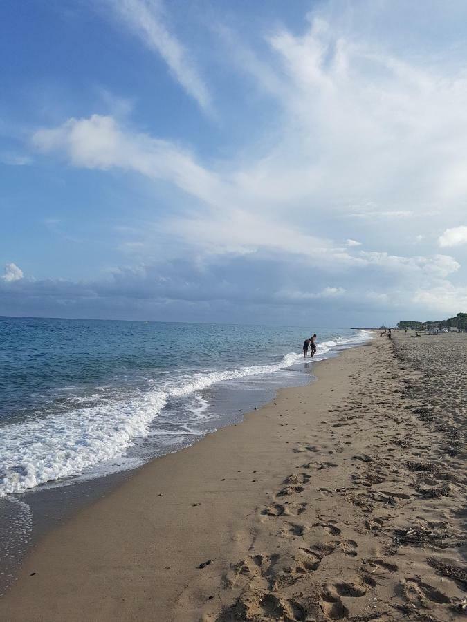 Los Flamencos, Frontal Al Mar Y Playa A 10 Metros Миами-Плайя Экстерьер фото